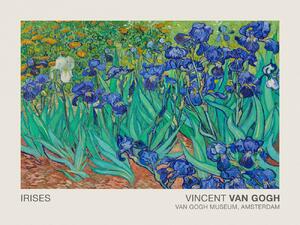 Reprodukcija umjetnosti Irises (Museum Vintage Floral / Flower Landscape) - Vincent van Gogh, (40 x 30 cm)