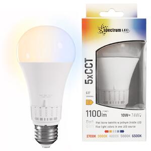 LED žarulja 5 boja svjetla GLS E27 230V 10W 5CCT