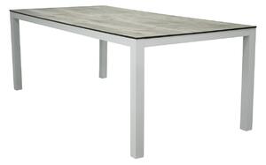 Vrtni stol Dallas 66975x100cm, Bijela, Siva, Metal