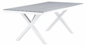 Vrtni stol Dallas 339274x100cm, Bijela, Siva, Metal