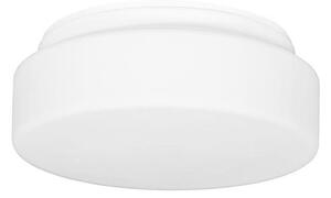 Ecolite W122/B-BI - Stropna svjetiljka HECTOR 1xE27/60W/230V IP44 bijela