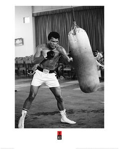 Umjetnički tisak Muhammad Ali - Punch Bag, (60 x 80 cm)