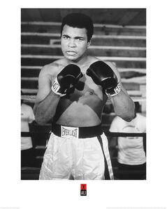 Umjetnički tisak Muhammad Ali - Pose, (60 x 80 cm)