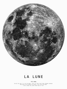 Ilustracija moon1, Finlay & Noa, (30 x 40 cm)