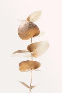 Ilustracija Eucalyptus Gold No 06, Studio Collection