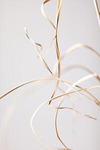 Fotografija Dried Grass Grey 02, Studio Collection