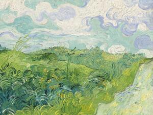 Reprodukcija Green Wheat Fields - Vincent van Gogh