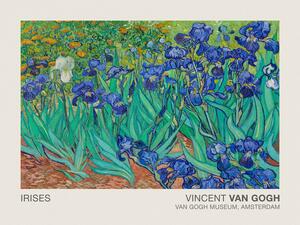 Reprodukcija Irises (Museum Vintage Floral / Flower Landscape) - Vincent van Gogh, (40 x 30 cm)