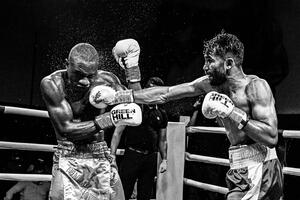 Fotografija Boxing, Reza Mohammadi