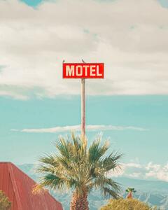 Fotografija This Motel is for the Birds, Tom Windeknecht, (30 x 40 cm)