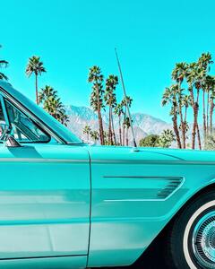 Fotografija Teal Thunderbird in Palm Springs, Tom Windeknecht, (30 x 40 cm)
