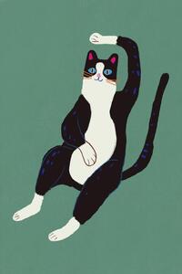 Ilustracija Black and white cat, Little Dean