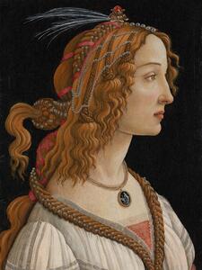 Reprodukcija Portrait of Simonetta Vespucci - Sandro Botticelli, (30 x 40 cm)