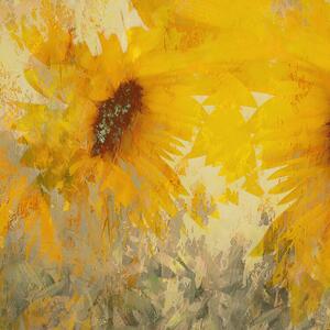 Ilustracija Sunflower, Nel Talen, (40 x 40 cm)