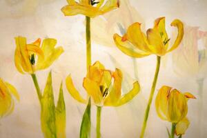 Ilustracija Flowering tulips, Nel Talen