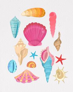 Ilustracija Seashells, Petra Lizde, (30 x 40 cm)