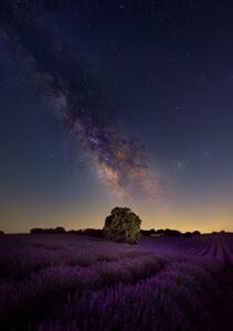 Fotografija Milky Way dreams, Carlos Hernandez Martinez