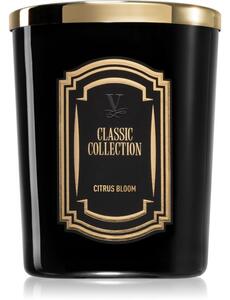Vila Hermanos Classic Collection Citrus Blossom mirisna svijeća 75 g