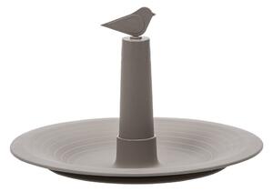 Sivo-bež pojilica za ptice Finch - Plastia