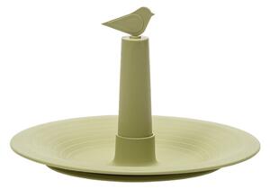 Svijetlo zelena pojilica za ptice Finch - Plastia