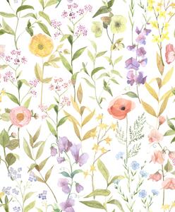 Tapeta Fleurs Des Champs 4 boje