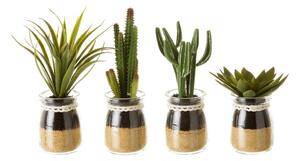 Umjetne biljke u setu 4 kom (visina 18 cm) Cactus – Casa Selección