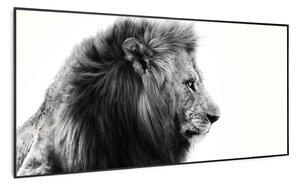 Klarstein Wonderwall Air Art Smart, infracrveni grijač, lav, 60 x 120 cm, 700 W