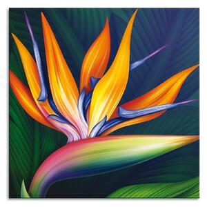Zidni ukras Strelitzia