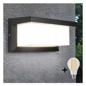 LED Vanjska zidna svjetiljka NEELY 1xE27/9W/230V 4000K IP54 antracit