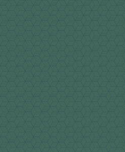 Tapeta Connexions 5 boja