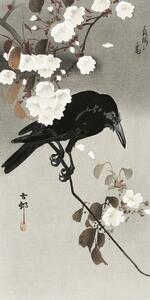 Umjetnički tisak Crow And Cherry Blossom, Ohara Koson, (20 x 40 cm)