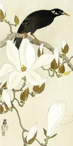 Myna On Magnolia Branch Reprodukcija umjetnosti, Ohara Koson, (20 x 40 cm)