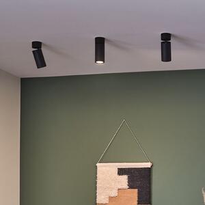 Paulmann LED stropna svjetiljka, Turnal Coin, crni metal, 2.700 K, prigušiva, Crno, Dnevni boravak/blagovaonica, Metal, Montaža na strop