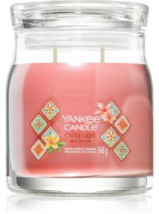 Yankee Candle Capri Glow mirisna svijeća 368 g
