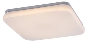 Lowar VANJSKA STROPNA SVJETILJKA LED 18W/BIJELA/IP44/1100lm RA77181