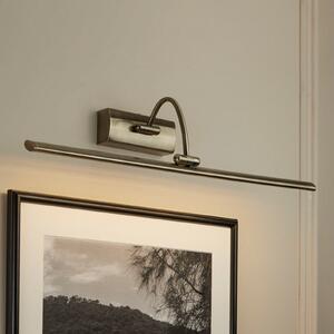 LED svjetlo za slike Glava s podesivom glavom, 64 cm