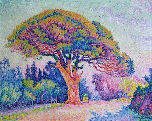 Reprodukcija The Pine Tree at St. Tropez, 1909, Paul Signac