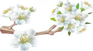 Zidna naljepnica za unutarnju granu trešnjinog cvijeta 50 x 100 cm