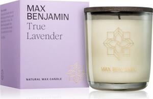 MAX Benjamin True Lavender mirisna svijeća 210 g