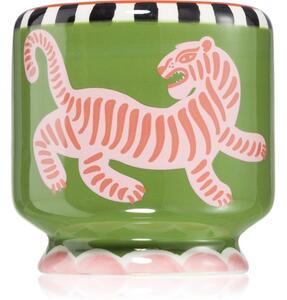 Paddywax A Dopo Tiger mirisna svijeća 226 g