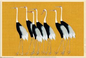 Poster Ogata Korin - Flock of Beatiful Japanese Red Crown Crane, (91.5 x 61 cm)