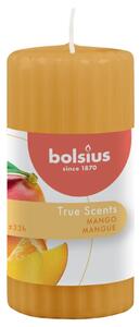 Bolsius mirisne rebraste svijeće True Scents 6 kom 120 x 58 mm mango