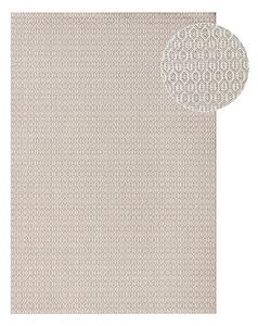 Sivi vanjski tepih NORTHRUGS Coin, 200 x 290 cm