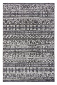 Sivi vanjski tepih 76x150 cm Clyde Loto – Hanse Home