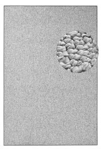 Sivi tepih 200x300 cm Wolly – BT Carpet