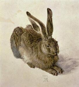Reprodukcija Hare, 1502, Albrecht Dürer