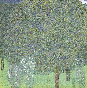 Reprodukcija Roses under the Trees (1905), Gustav Klimt