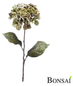 Hortenzija zaleđena 75 cm
