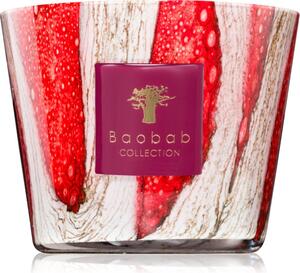 Baobab Collection Woods Risoud mirisna svijeća 500 g