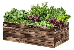 ATMOWOOD Drvena podignuta gredica 120 x 60 x 40 cm - pougljena